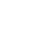 Distintivo H